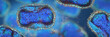Leinwandbild Motiv Monkeypox viruses, pathogen closeup, infectious zoonotic disease, background banner format