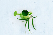 A Green Iron Small Watering Can Against The Background Of Snow And A Plant Grows.