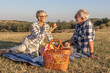 © pucko_ns - Mature couple have picnic at the middle of the field in nature