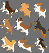 Set of flat colored cute and simple dogs jumping in side view