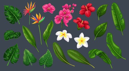 Canvas Print - Tropical leaves and flowers in cartoon style, vector illustration. Jungle exotic leaf philodendron, monstera, areca palm, royal fern and plumeria. Strelitzia, hibiscus and orchid.