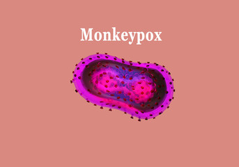 Wall Mural - Monkeypox cell. Infectious disease molecules in blood. Monkeypox pandemic. Symptoms fever under microscope. Monkey pox cell in patient's body. Infectious disease. Virus visualization. 3d rendering