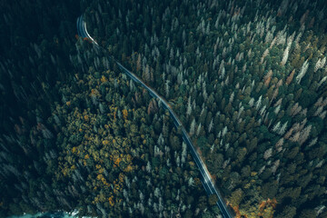 Wall Mural - Aerial view of curvy road passing through the green forest, top view