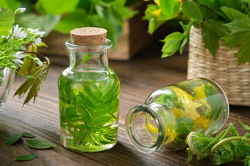 Wall Mural - bottle of essential oil or infusion of medicinal herbs, medicinal healing plants on background. alte