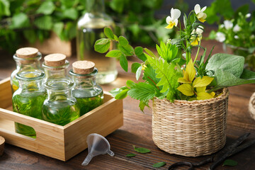 Wall Mural - bottles of essential oil or infusion of medicinal herbs and basket of medicinal healing plants. alte