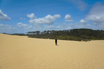 Wall Mural - A woman walking and taking pictures at Great Sand Dune in Cape Reinga, Northland, New Zealand.