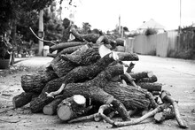 Black And White Photo Of A Pile Of Cut Logs.