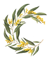 golden wattle (acacia pycnantha) is australia's national flower