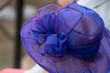 A women wearing a blue ribbon hat at a horse race.