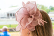 A women in a pink lace hat at a horse race.