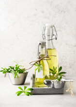 Two Glass Bottles Of Delicious Healthy Sweet Woodruff Syrup With Fresh Green Leaves. Homemade Food Concept. Copy Space.