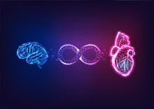 Futuristic Heart And Brain Balance, Emotional Intelligence Concept With Glowing Organs And Infinity