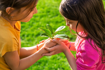 Children take care of nature tree in their hands. Selective focus.