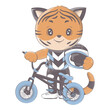 Vector illustration of a tiger with a sports bike. Vector illustration of a cute athlete animal. Cute little illustration of tiger for kids, baby book, fairy tales, covers, baby shower invitation