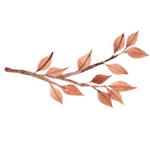 Bunch Of Autumn Leaves Border Watercolor For Decoration On Autumn Season And Natural Concept.