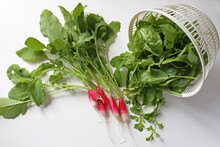 Fresh Organic Home Grown Farm Vegetables Red Radish, Green Curly Lettuce, Spinach In A Special Device For Drying Herbs On A White Background. Healthy Food Concept. Background Of Fresh Vegetables