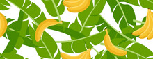 Horizontal Seamless Pattern With Green Banana Leaves And Bananas. Bright Summer Design For Print On Different Surfaces, Textile, Wrapping Paper.