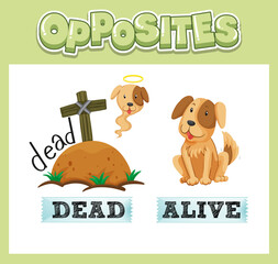 Poster - Opposite English words for kids