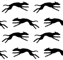 Vector Seamless Pattern Of Hand Drawn Running Whippet Dog Silhouette Isolated On White Background