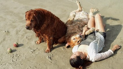 Wall Mural - Happy woman with dog golden group relax and resting enjoy freedom on the beach, Female with pets happiness outdoor people lifestyle.