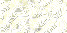 Abstract Background Vector Pattern In Illustration . Paper Cut Vector Art Background Banner Texture .Topographic Background And Texture, Monochrome Image. 3D Waves. Paper Texture Design .