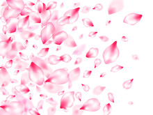 Japanese Cherry Blossom Pink Flying Petals