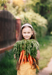 Smiling little girl in a garden holds a two bunches  of fresh carrots. Vertical