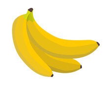 Ripe Yellow Bananas On White Background, Banana Fruit Isolated On White, Vector Illustration