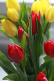 Fototapeta Tulipany - Bouquet of beautiful tulips flowers