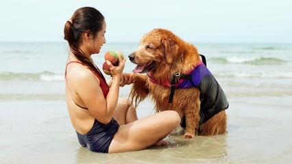 Wall Mural - Asian woman take dog leg with ball technique teaching her pet on the beach,  sitting relax and resting enjoy freedom, Female with pets happiness outdoor people lifestyle.