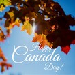 Composite of happy canada day text and maple leaves growing on branches against clear blue sky