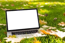 Blank Screen Laptop Computer On Terrace With Beautiful Autumn Colorful Red And Yellow Maple Leaves Background, Copy Space For Display Presentation, Marketing, Advertisement Concept
