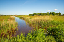Lange Ditch In A Polder Landscape In The Dutch Province Of North Brabant. It Is A Sunny Day At The Beginning Of The Spring Season.