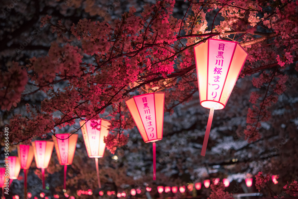 夜桜 4K Ultra HD ] 千鳥ヶ淵公園の桜 2018 Cherry Blossoms at