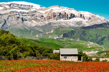 Wall Mural - View of the snow capped Shahdag mountain located in Azerbaijan