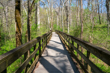 Boardwalk At Mammoth Cave National Park