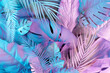 Creative jungle neon color layout made of tropical leaves. Flat lay fluorescent colors. Nature concept.