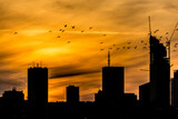 Fototapeta Londyn - beautiful sky over the city of Warsaw
