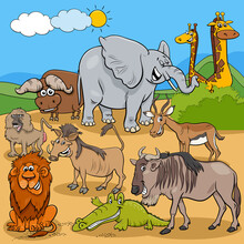 Funny Cartoon Safari Animal Characters Group