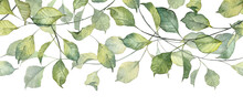 Long Seamless Banner With Hanging Twigs With Green Leaves. Realistic Hand Painted Botany Plants. Watercolor Design Temlate Header