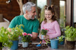 © Halfpoint - Little daughter helping father to plant flowers, home gardening concept