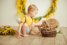 Little Child Playing With Easter Rabbit