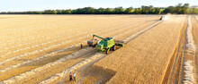 Harvesting Of Wheat On Summer Day