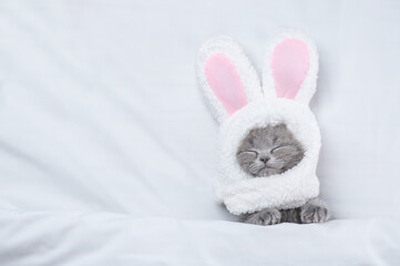 Poster - Cozy kitten wearing easter rabbits ears sleeps on a bed under warm white blanket at home. Top down view