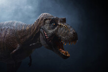Dinosaur, Tyrannosaurus Rex On Dark Background