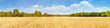 canvas print picture - Getreidefeld im Sommer - Gerstenfeld Panorama