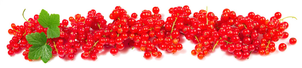 Wall Mural - Red Currants - Berries Panorama with Leaves isolated on white Background