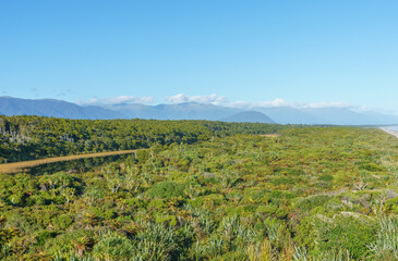 Wall Mural - Scenic west coast view over natural wetland vegetation at Ship Creek