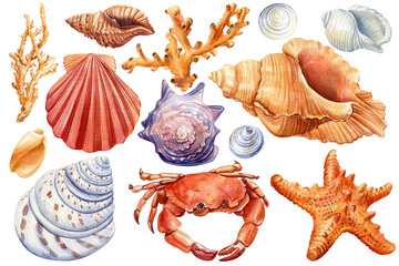 Set of sea shells, crab, starfish on isolated white background, watercolor illustration