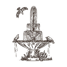 Fountain With Birds In Park. Sketch. Engraving Style Vector Illustration.